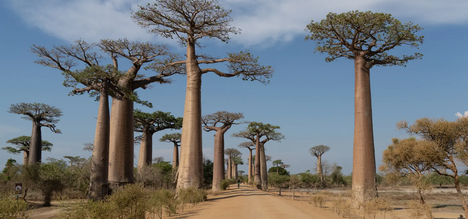 Avila Travel Madagascar desde la calle ak Avenida de los Baobabs