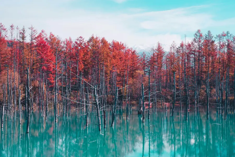 Avila Reizen Japón Hokkaido Blue Pond