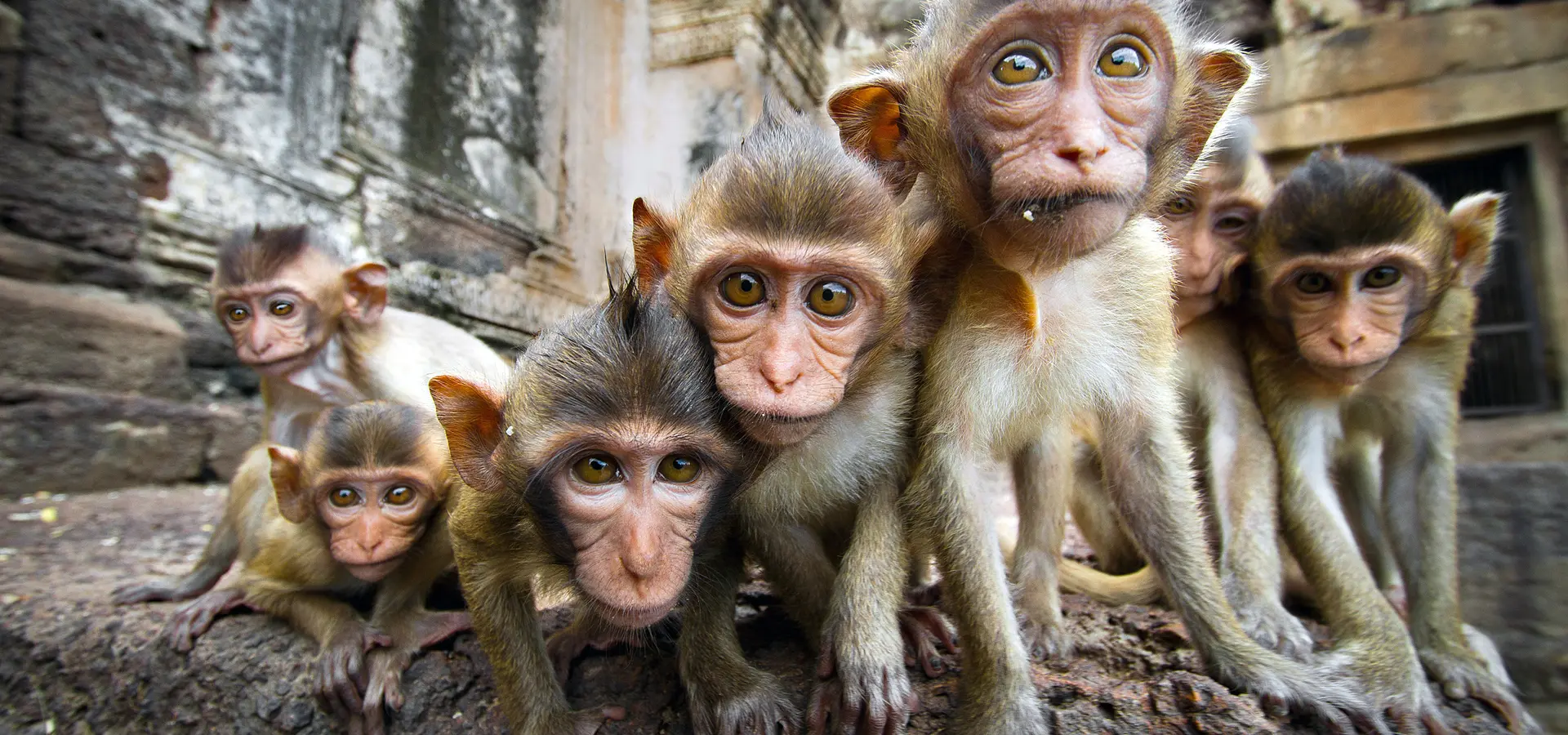 Avila Travel Tailandia Phra Prang Sam Yod