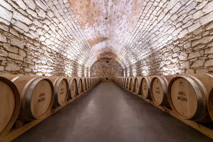 Avila Reizen Moldavia: Bodega del Castillo de Mimi