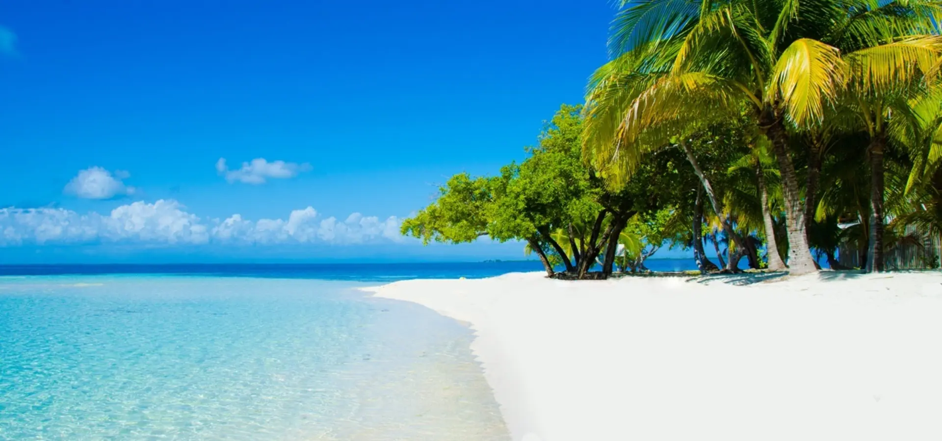 Avila Travel Belice Playa de Placencia