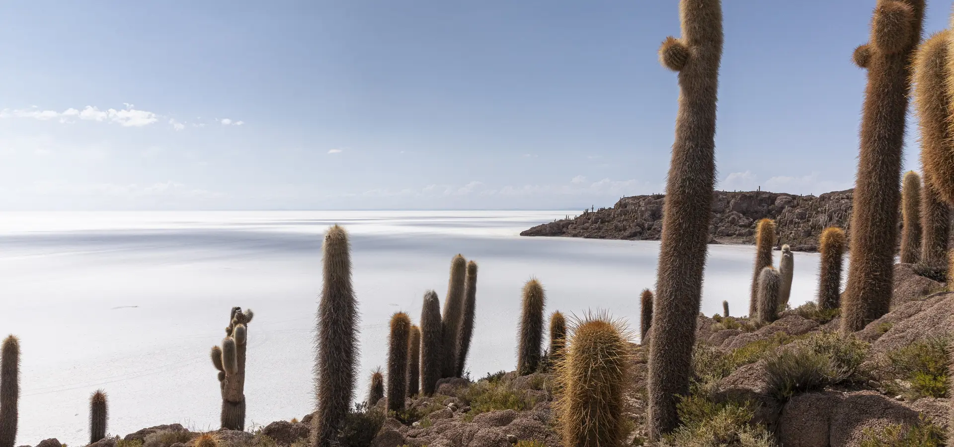Bolivia América Latina salar