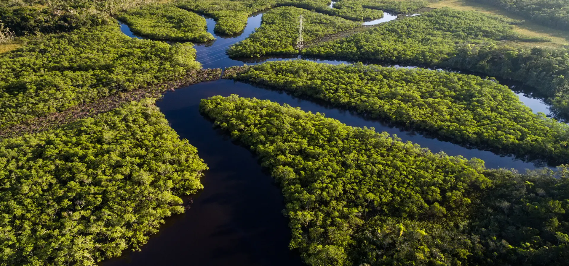 Avila Travel Brasil Vista aérea de una selva tropical en Brasil