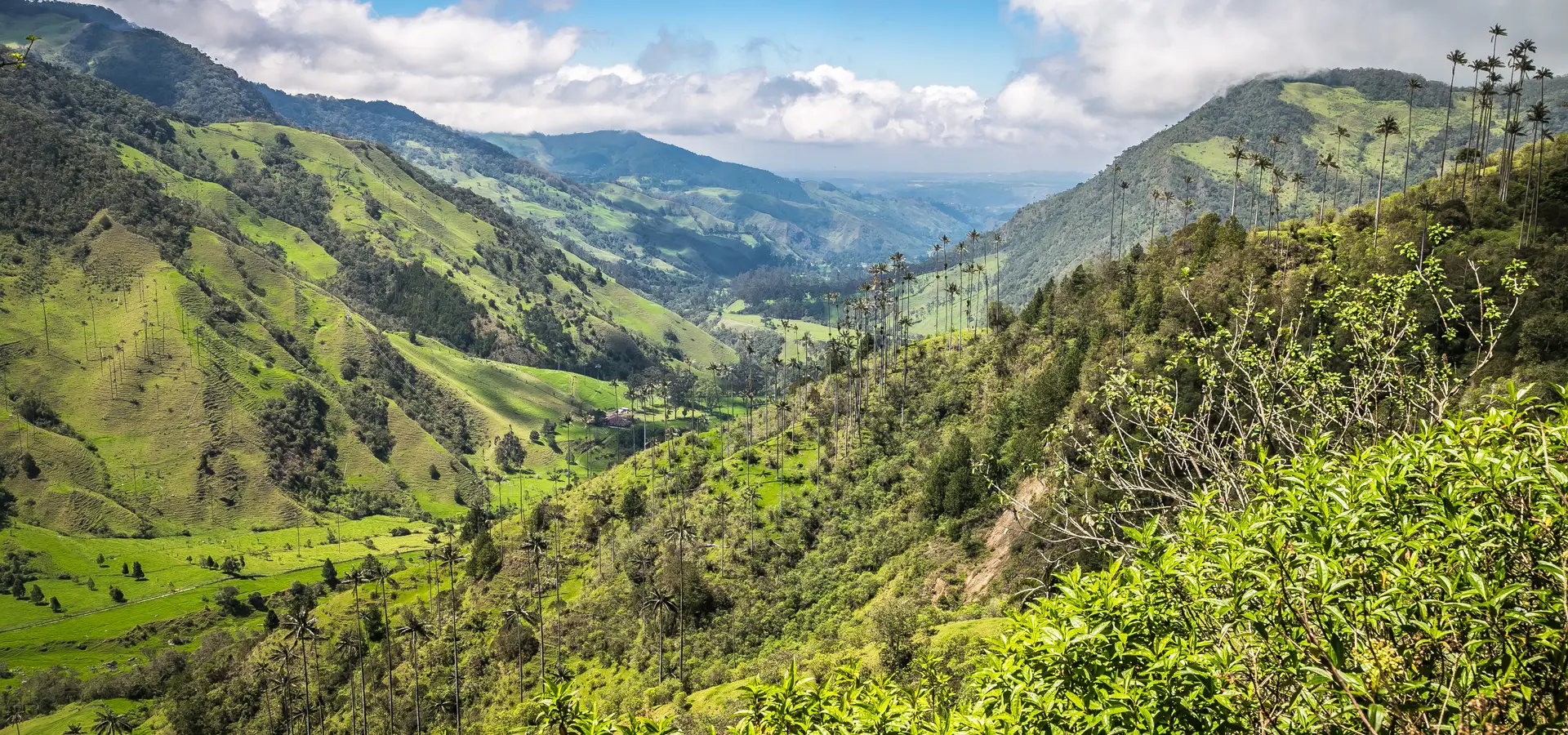 Avila Travel Colombia selva