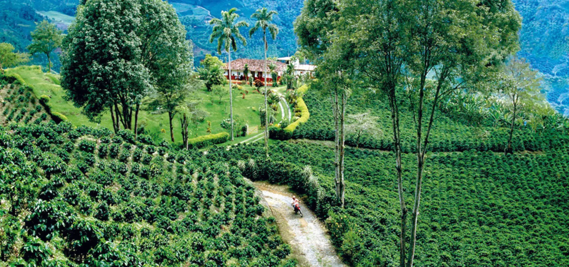 Avila Travel Colombia región cafetera