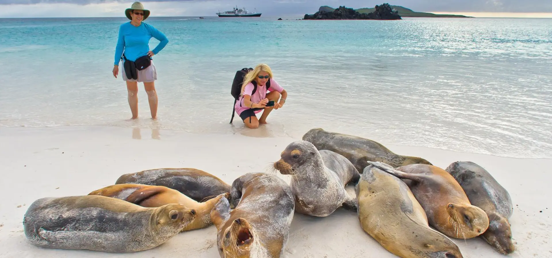 Avila Travel Galápagos sella National Geographic