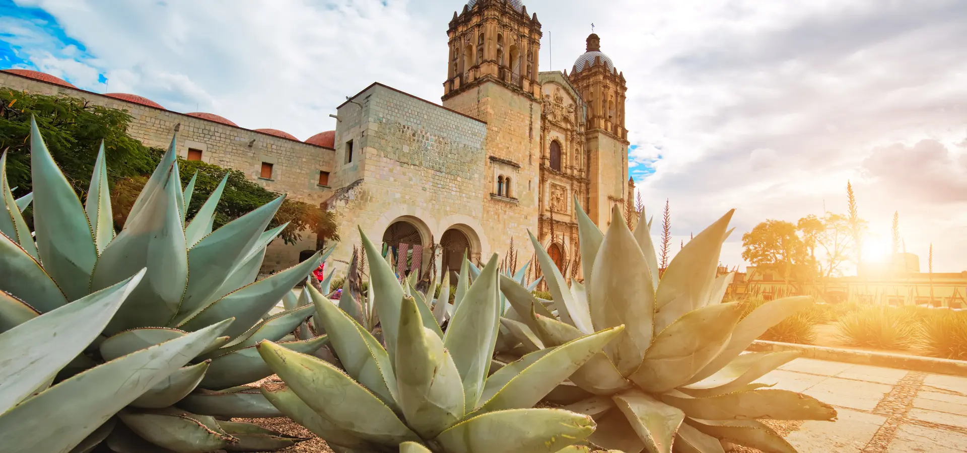 Ambiente de Avila Travel México