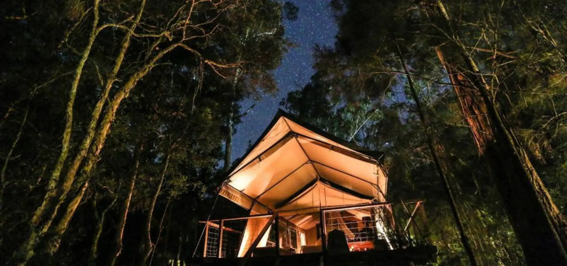 Ávila Viajes Paperbark Camp