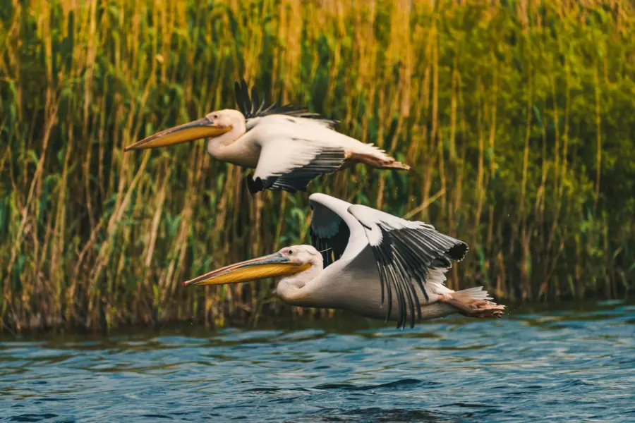 1765548805938calin stan kmn1td23z0y unsplash