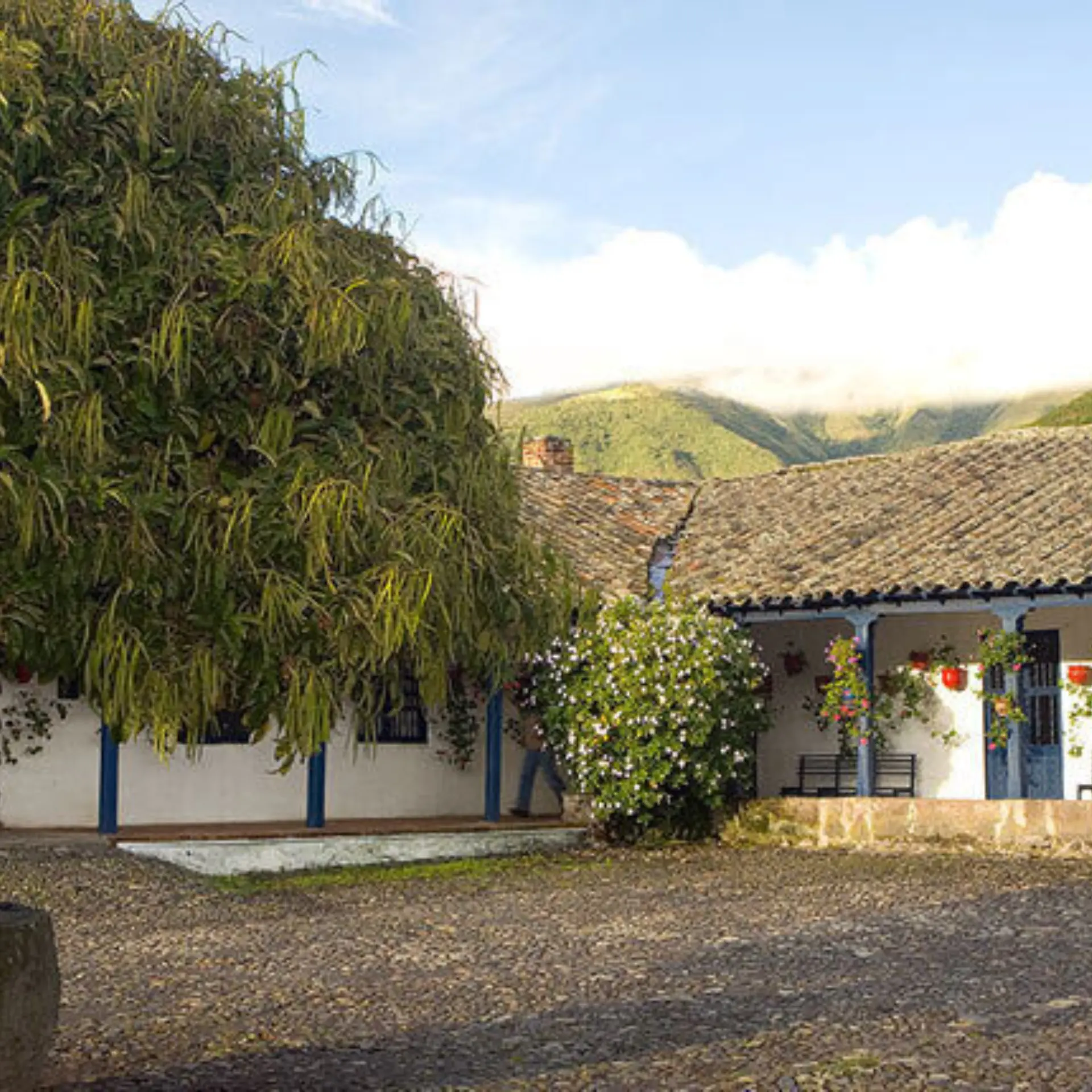 Hacienda zuleta 04