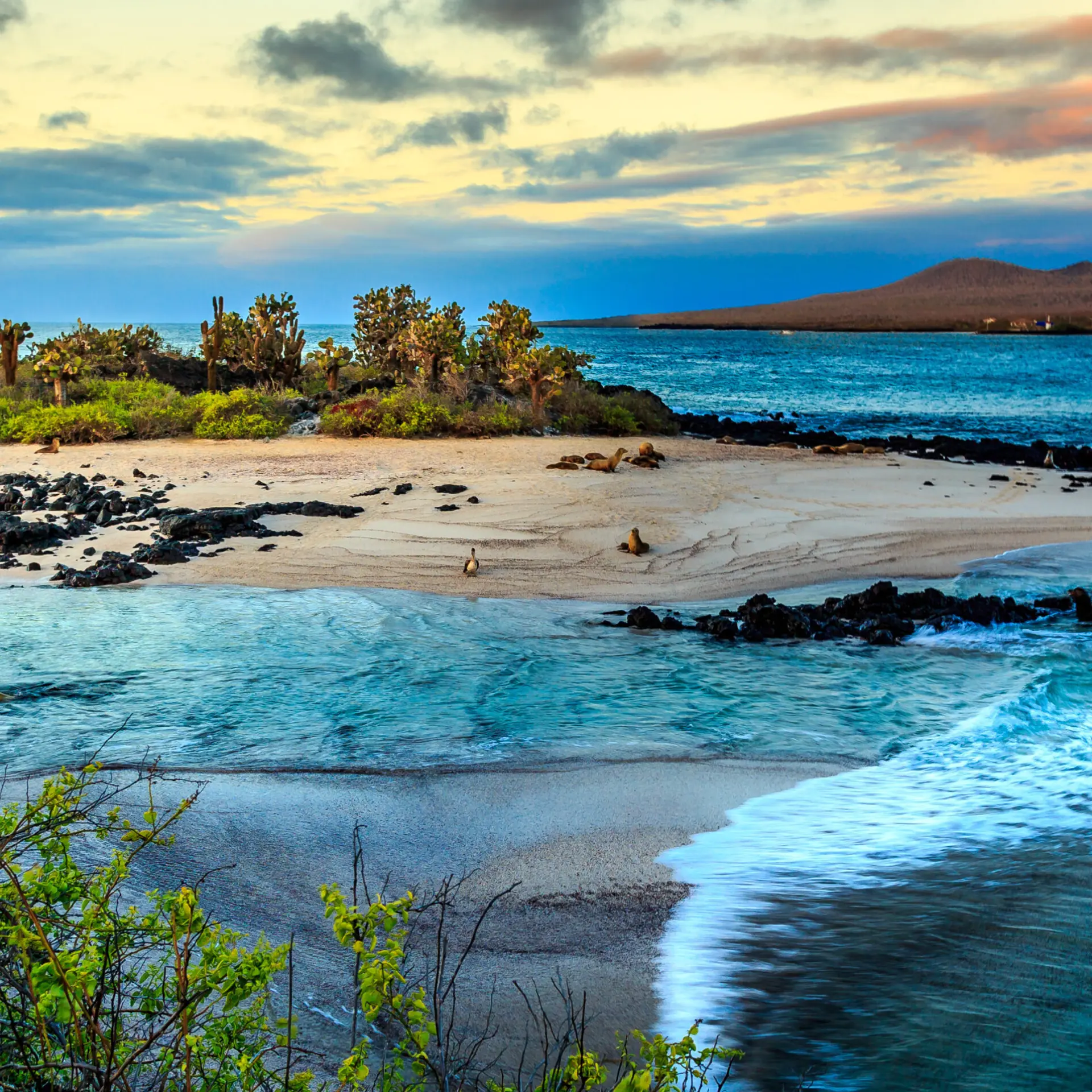 Galápagos 1