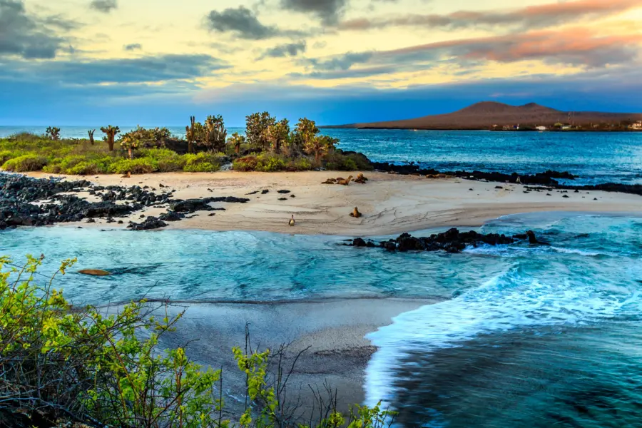 Galápagos 1