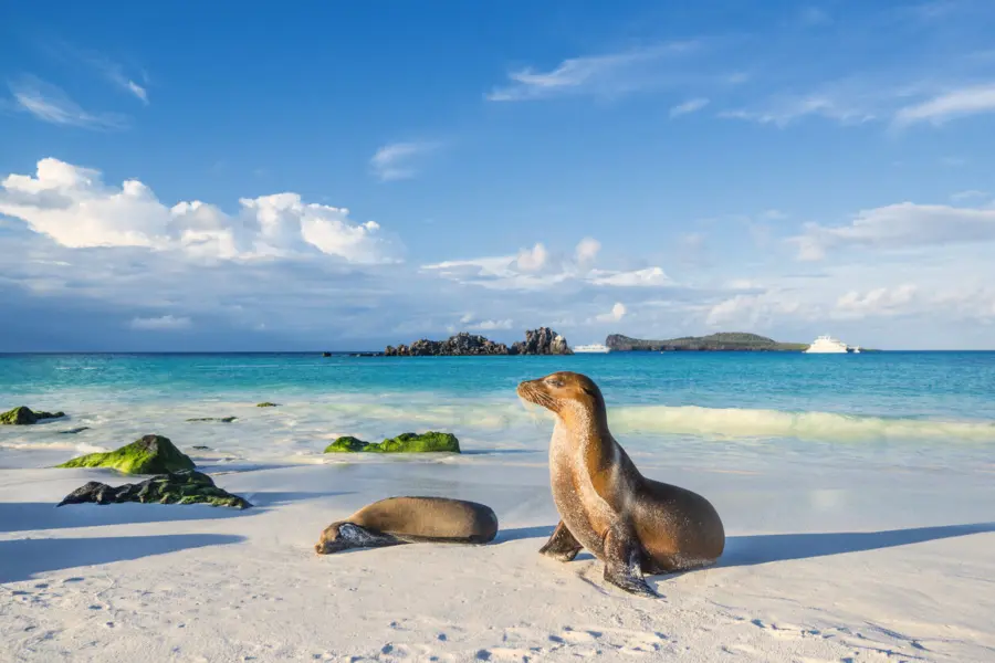 Galápagos istock 674781548