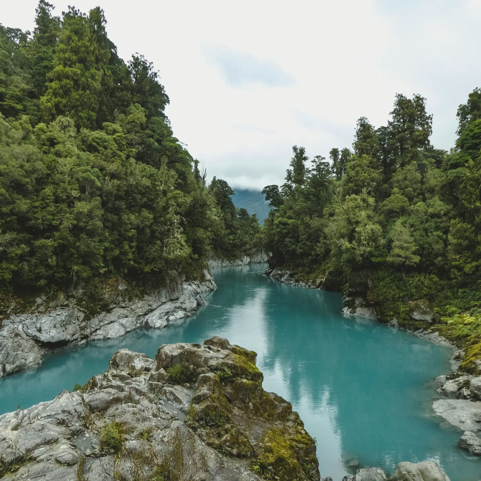 Tyler Lastovich id9f5pznwlk Unsplash