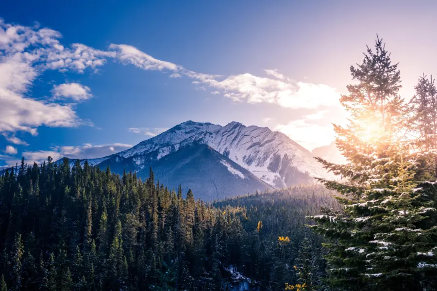 Neil rosenstech fpwbchivls unsplash