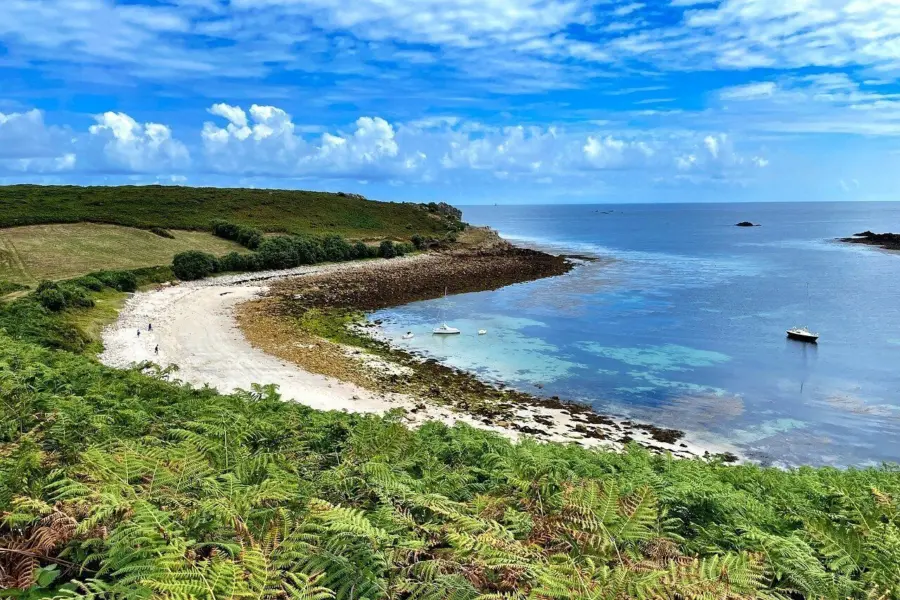 Sdm2019 tresco 97895781280