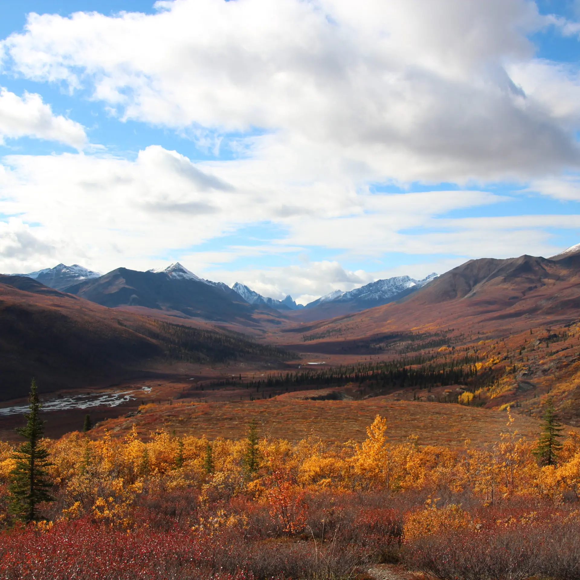 Yukon tombstone np dempster hwy
