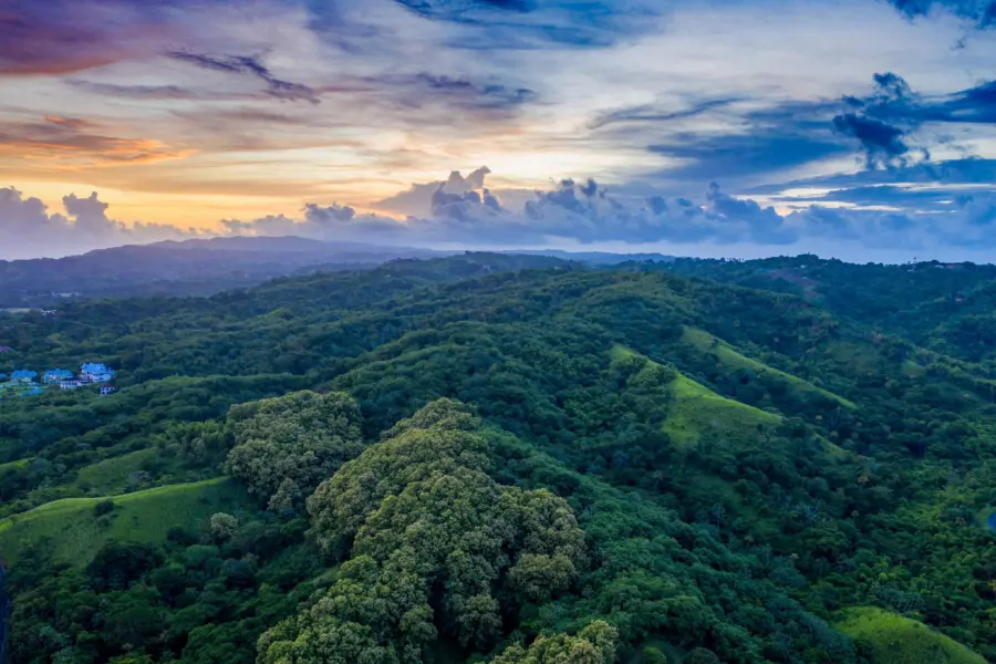 Reserva forestal de Tobago Main Ridge