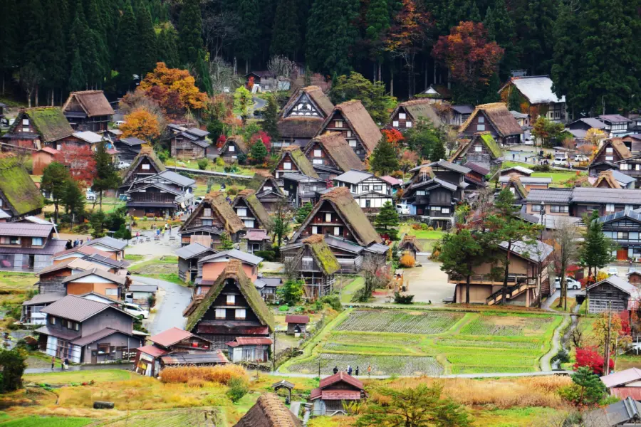 Ellenchan Japón 3205106