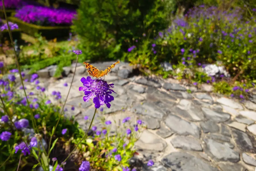 Ahhyeon an tsau9u45ngi unsplash