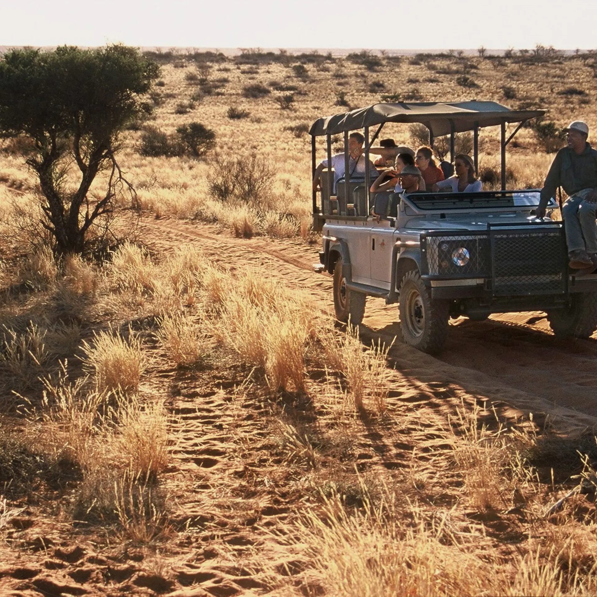 Safari privado