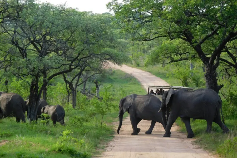 Parque Kruger