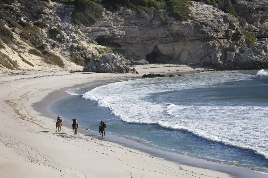 Reserva natural de Walker Bay, cerca de Gansbaai