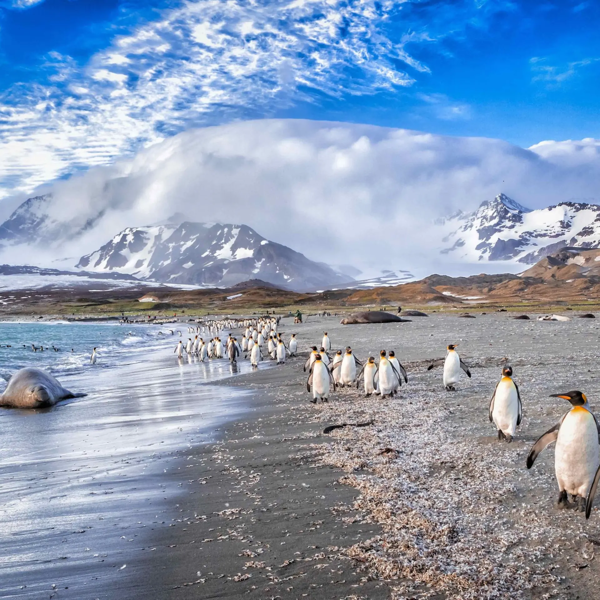 Avila Reizen Islas Malvinas: los vientos catabáticos se adentran en la bahía de St Andrews, en Georgia del Sur