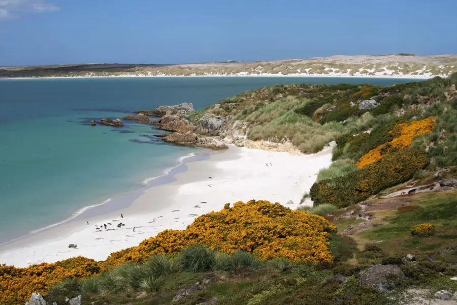 Avila Reizen Islas Malvinas 2