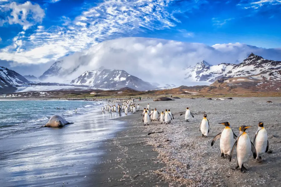 Avila Reizen Islas Malvinas: los vientos catabáticos se adentran en la bahía de St Andrews, en Georgia del Sur