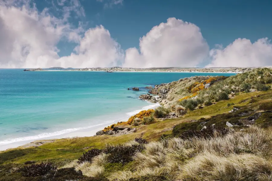 Avila Viajes Islas Malvinas: La costa de las Islas Malvinas
