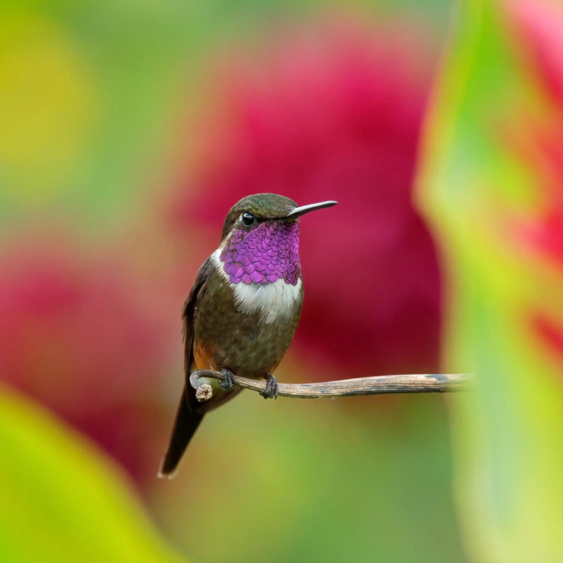 Shutterstock 340780127