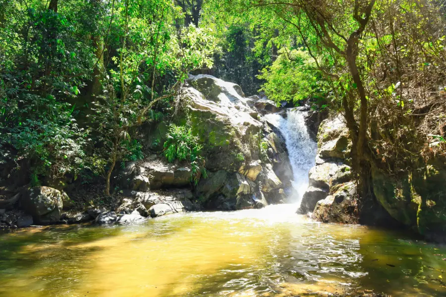 Chema foto p7b5sipxrnk unsplash