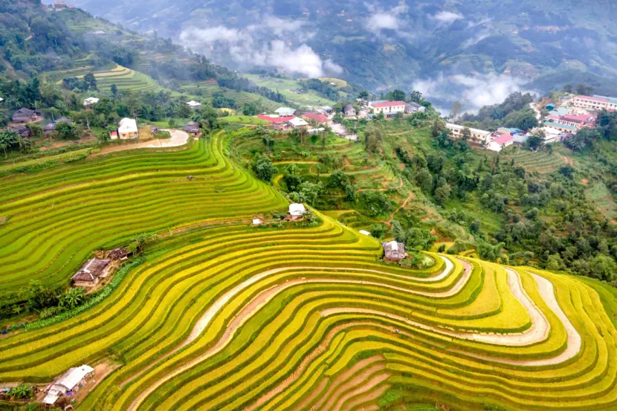 Terrazas de arroz vistas desde el aire