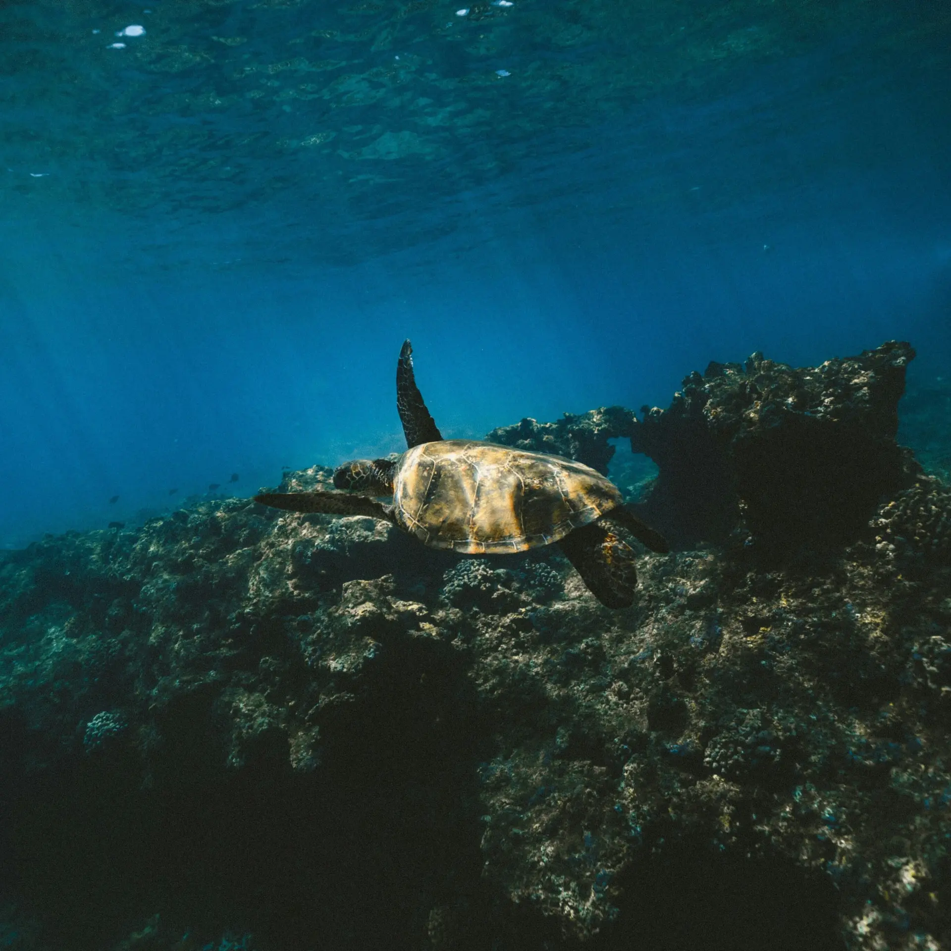 Jakob owens yg17sq9ime unsplash