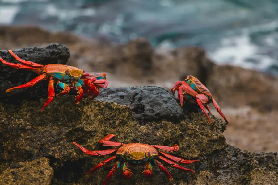 Amy perez es24lvcahw0 unsplash2