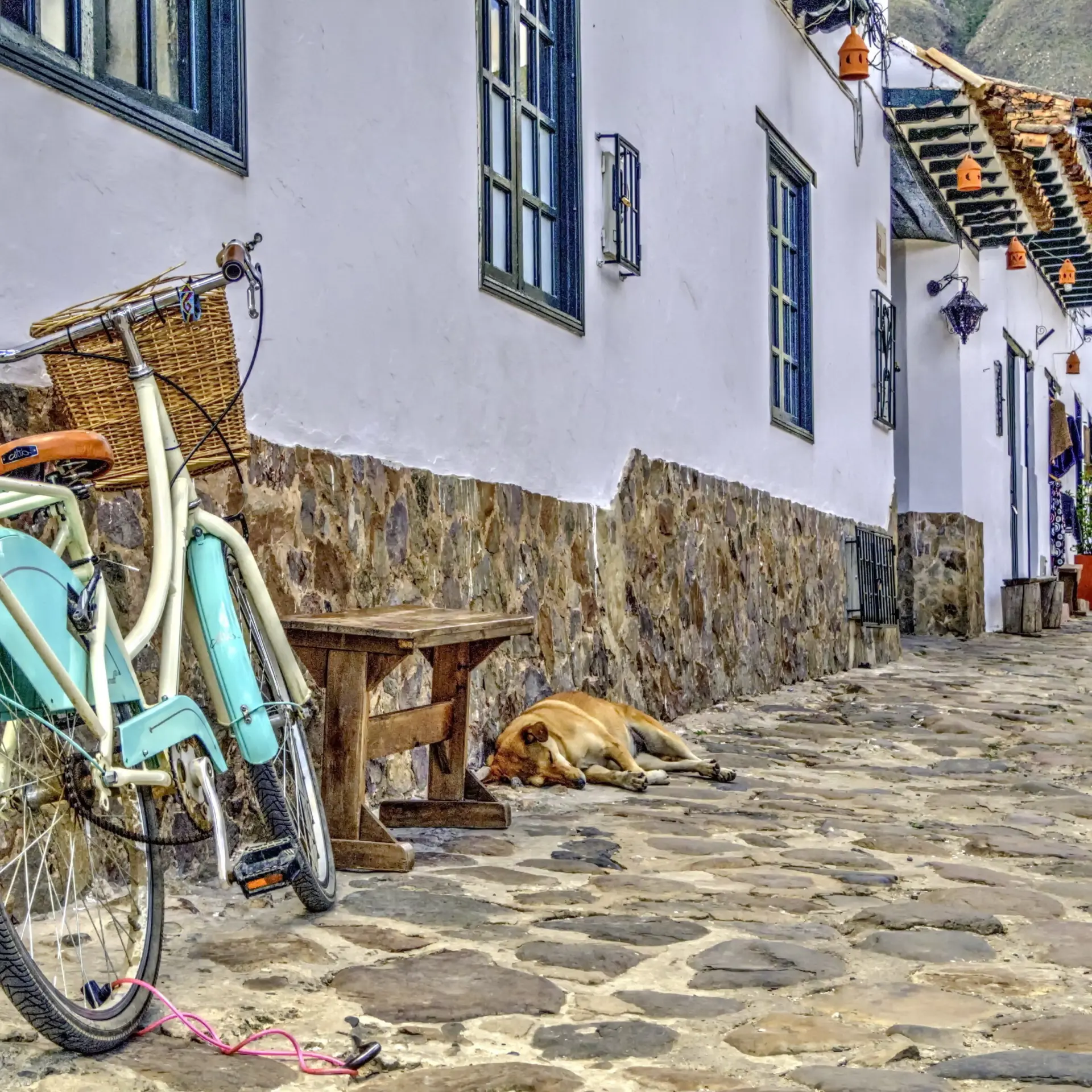 Calle Vieja