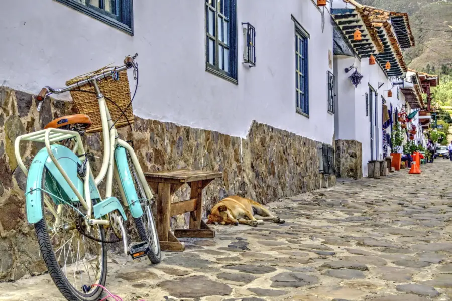 Calle Vieja