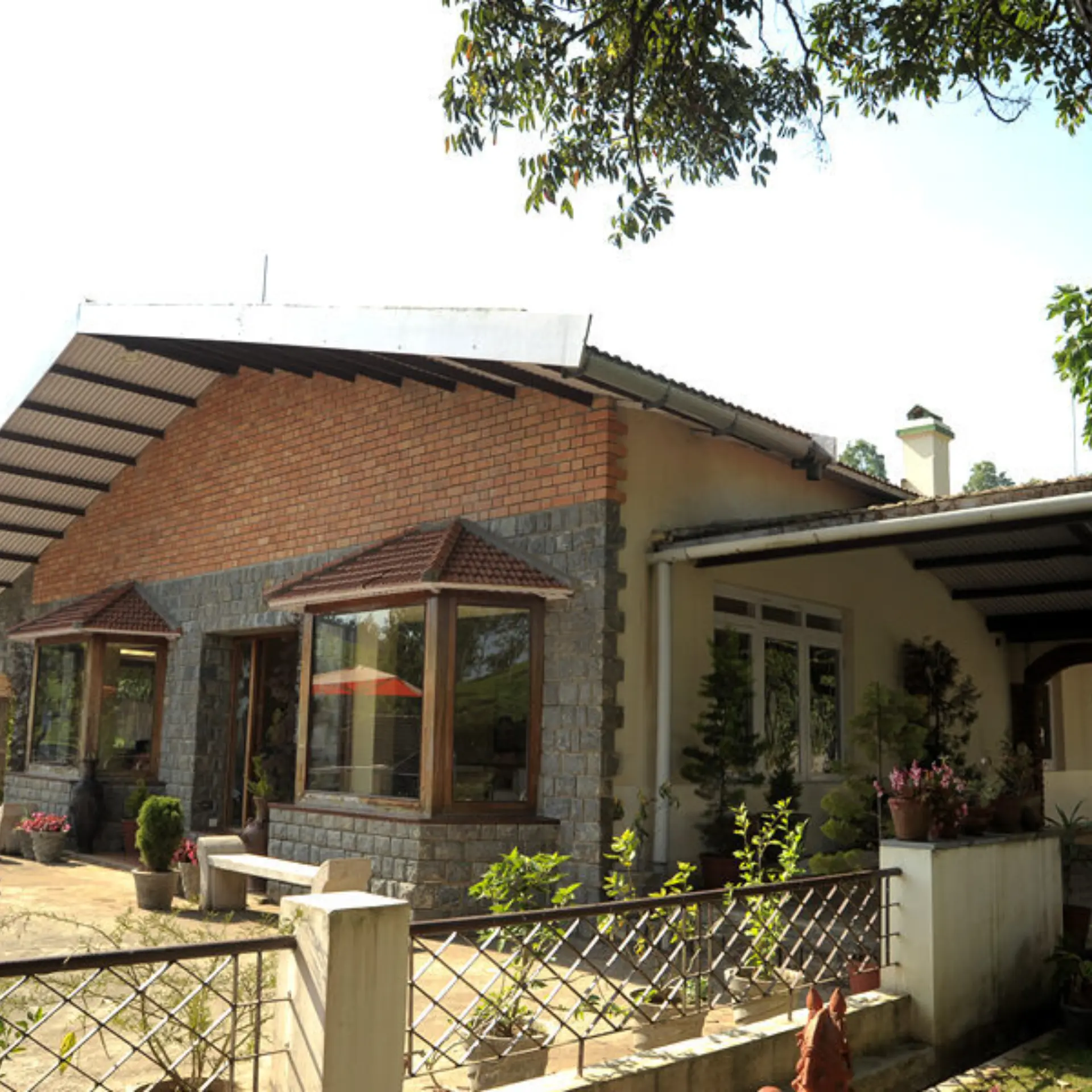 Vista frontal del nido de té