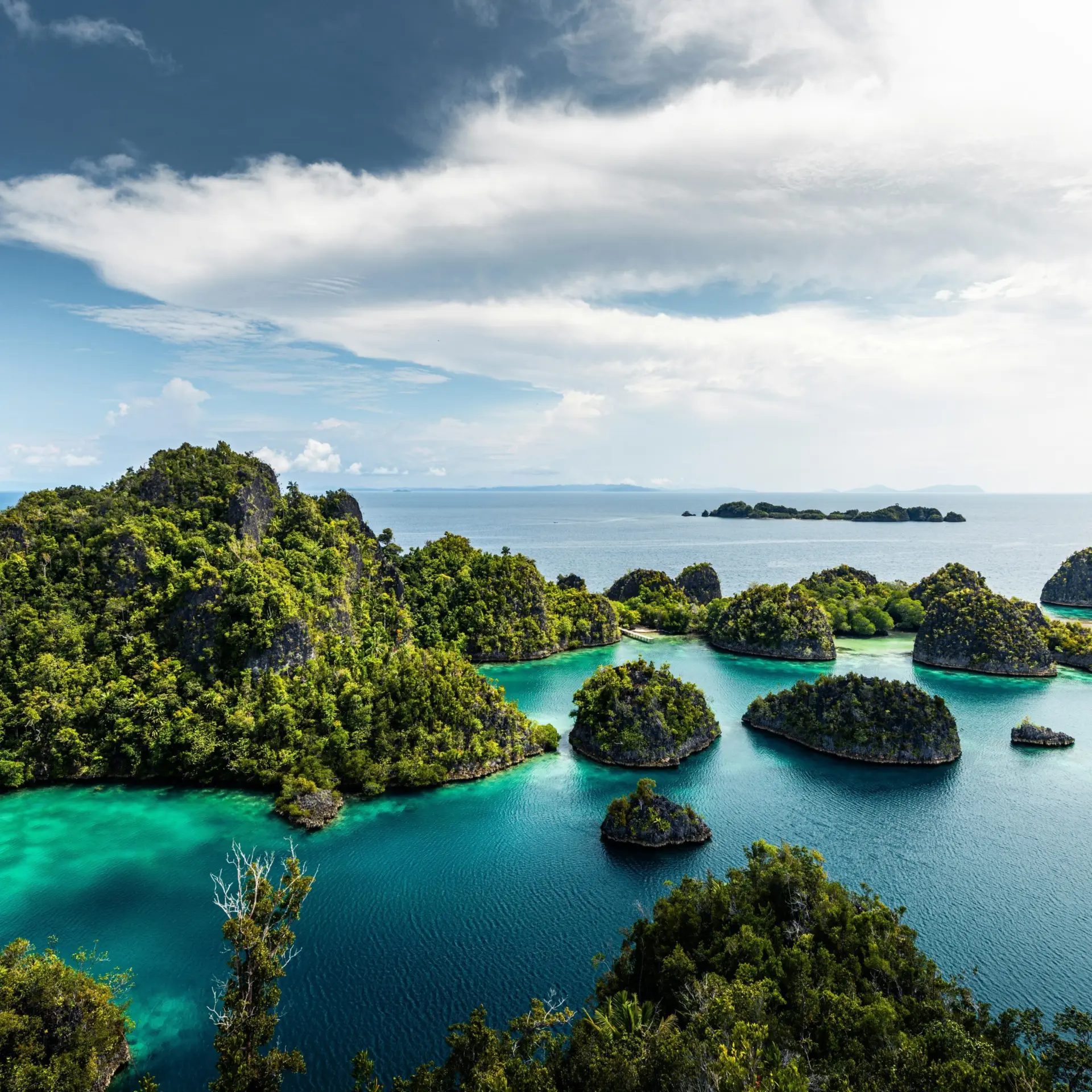 Simon spring bedy6wztfg unsplash