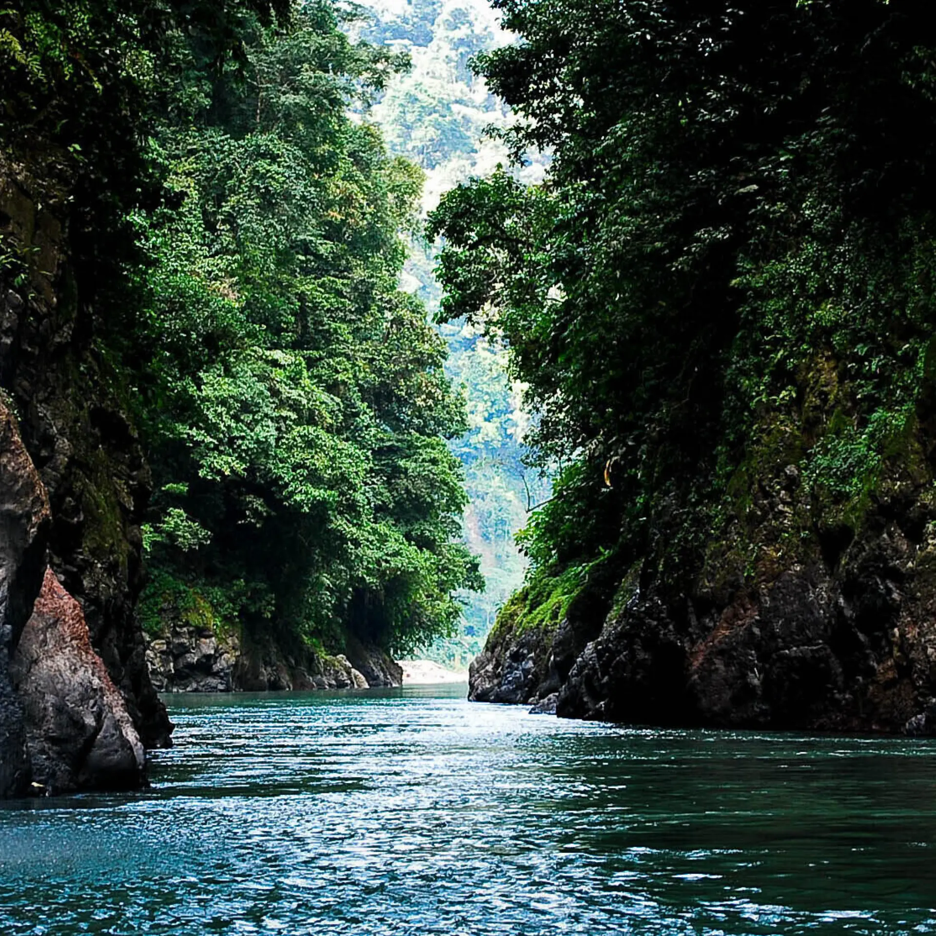 Río Pacuare