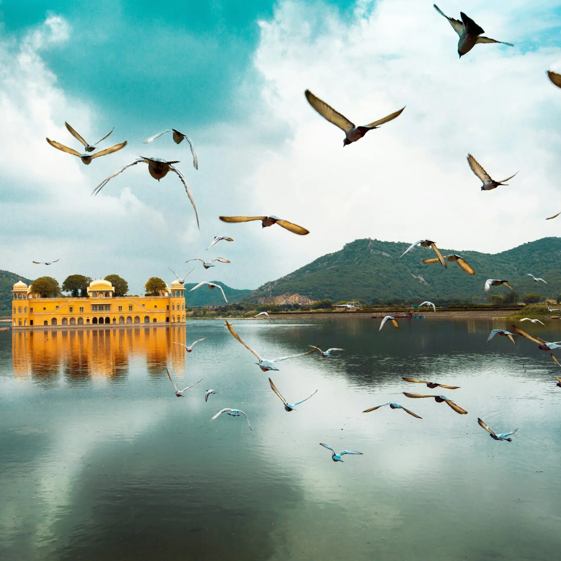 Aditya siva 3p1g67znyci unsplash