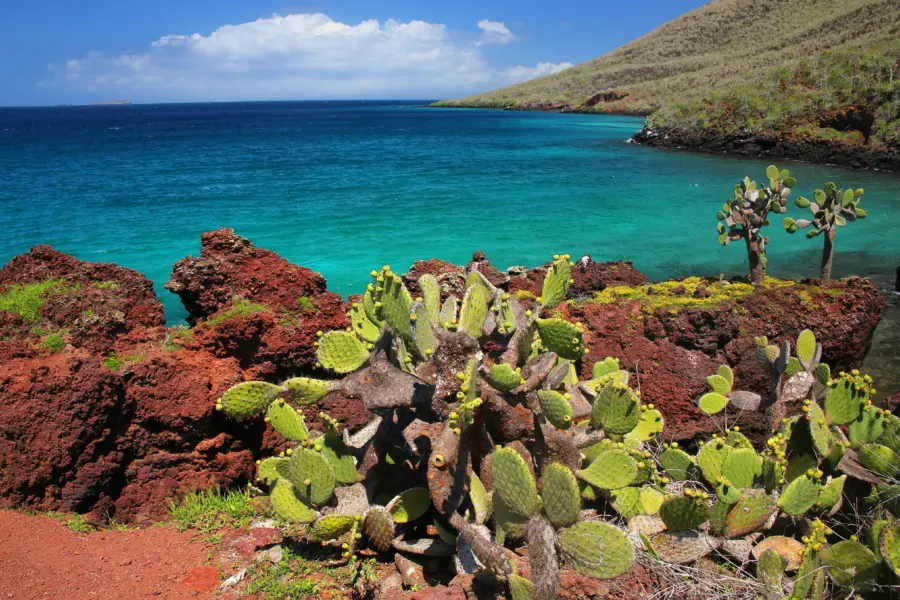 Galápagos 3