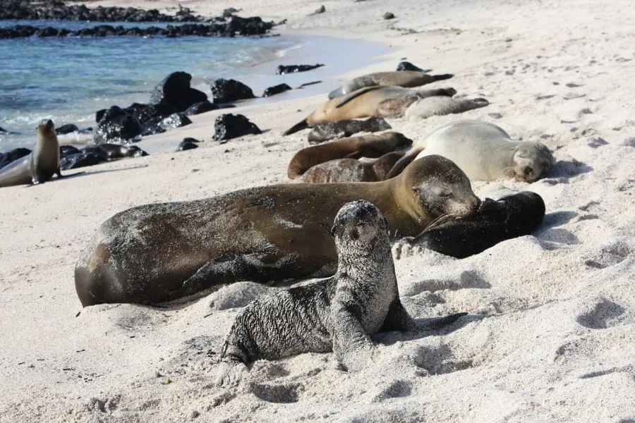 Galápagos 5014927 1280