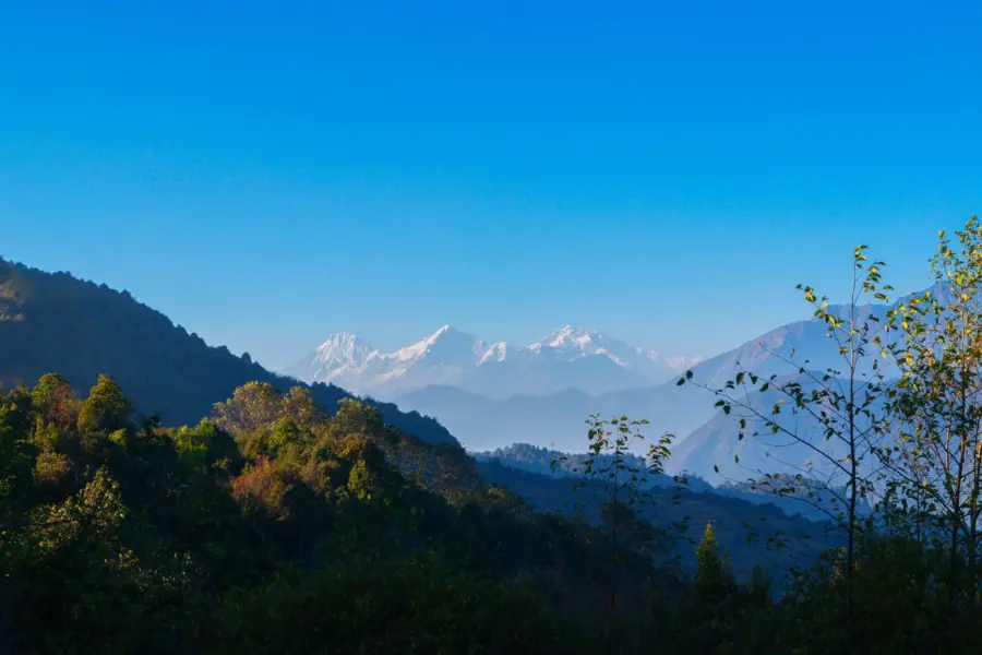 Swornim shakya s5y6bkaxcoy unsplash