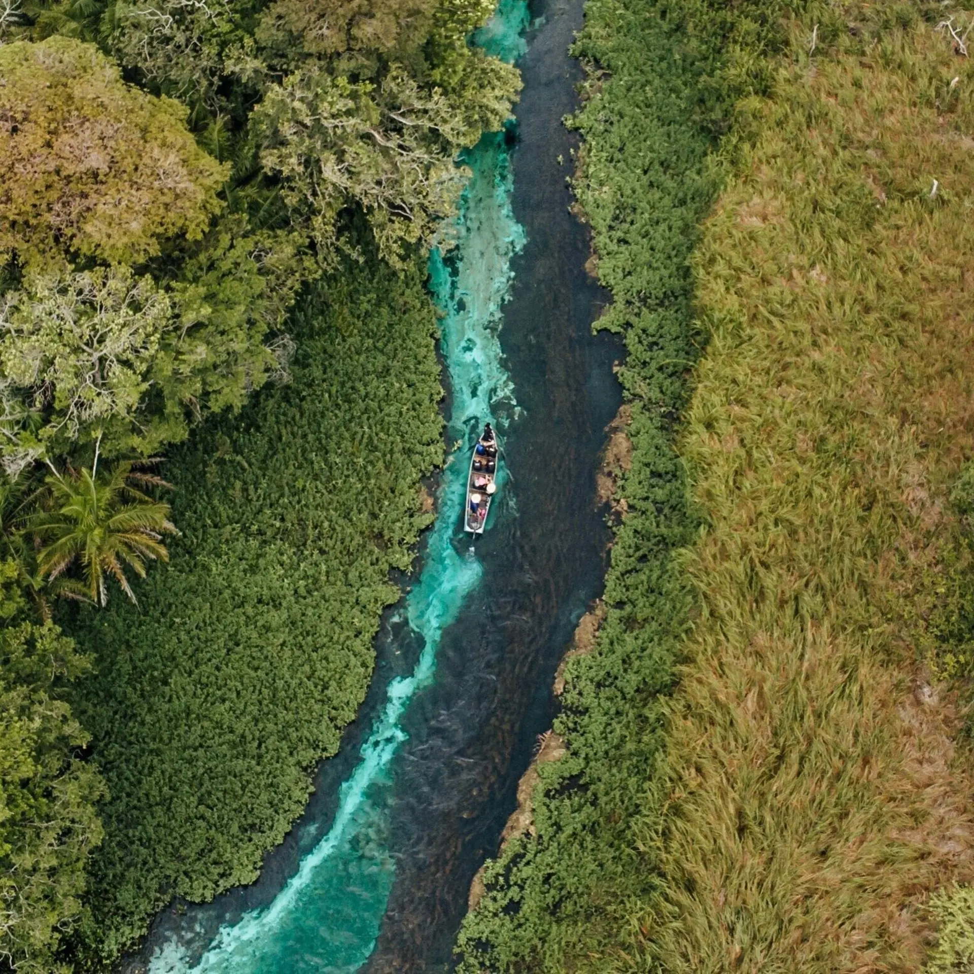 Paulo freitas utf1o4sdq2y unsplash