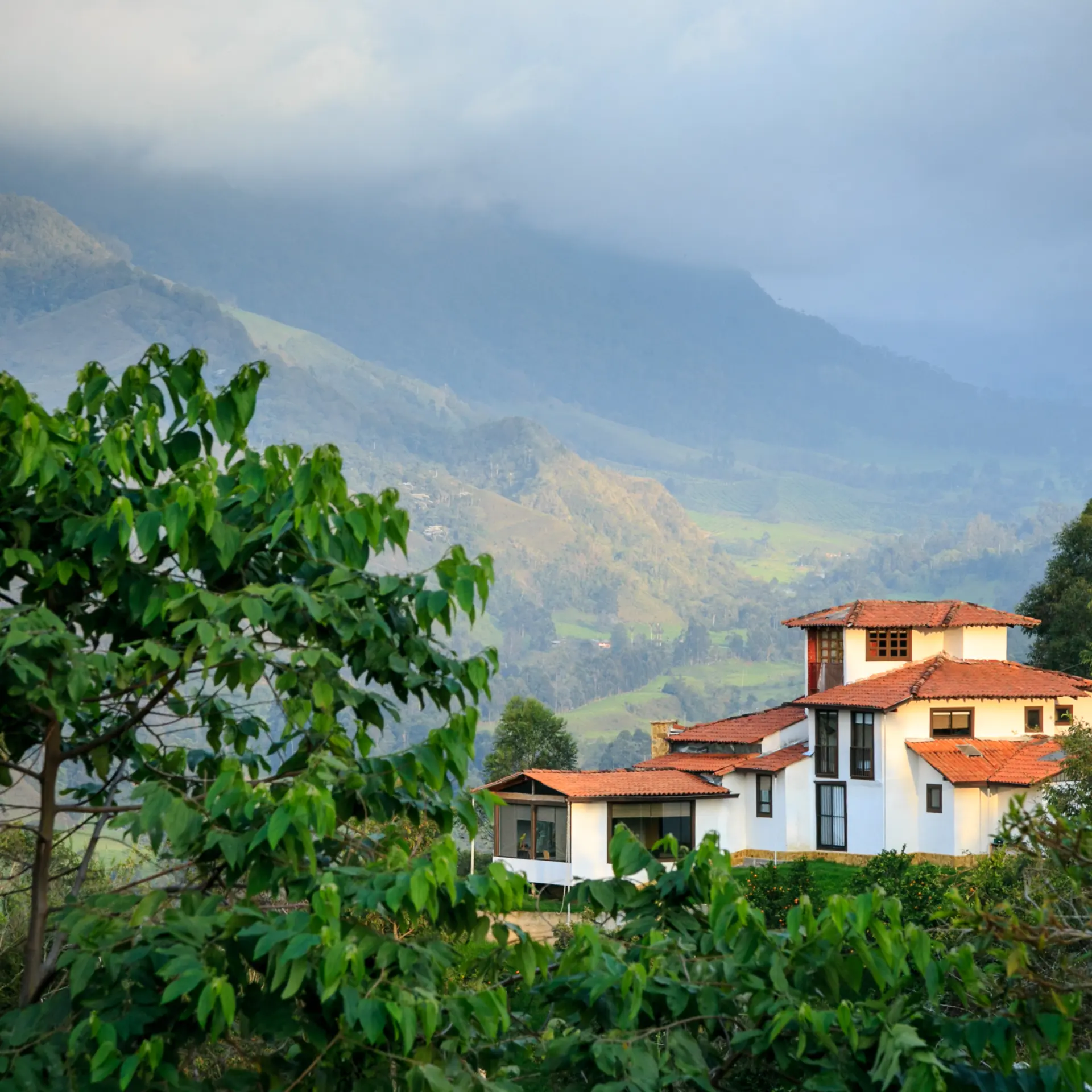 Región cafetera de Colombia1