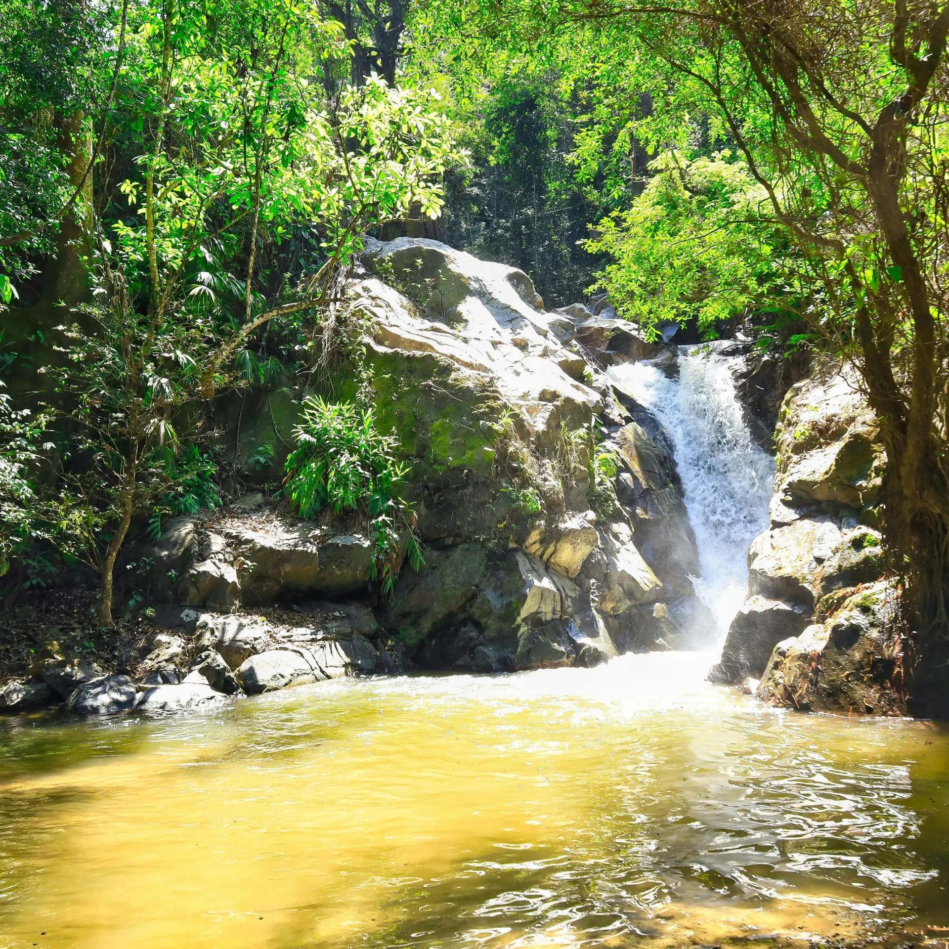 Chema foto p7b5sipxrnk unsplash