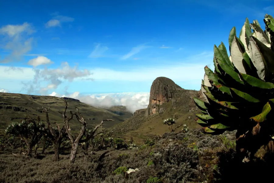 Monte elgon 2