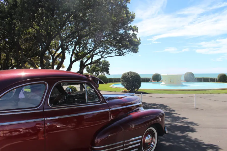 Reginasphotos Napier 1584279